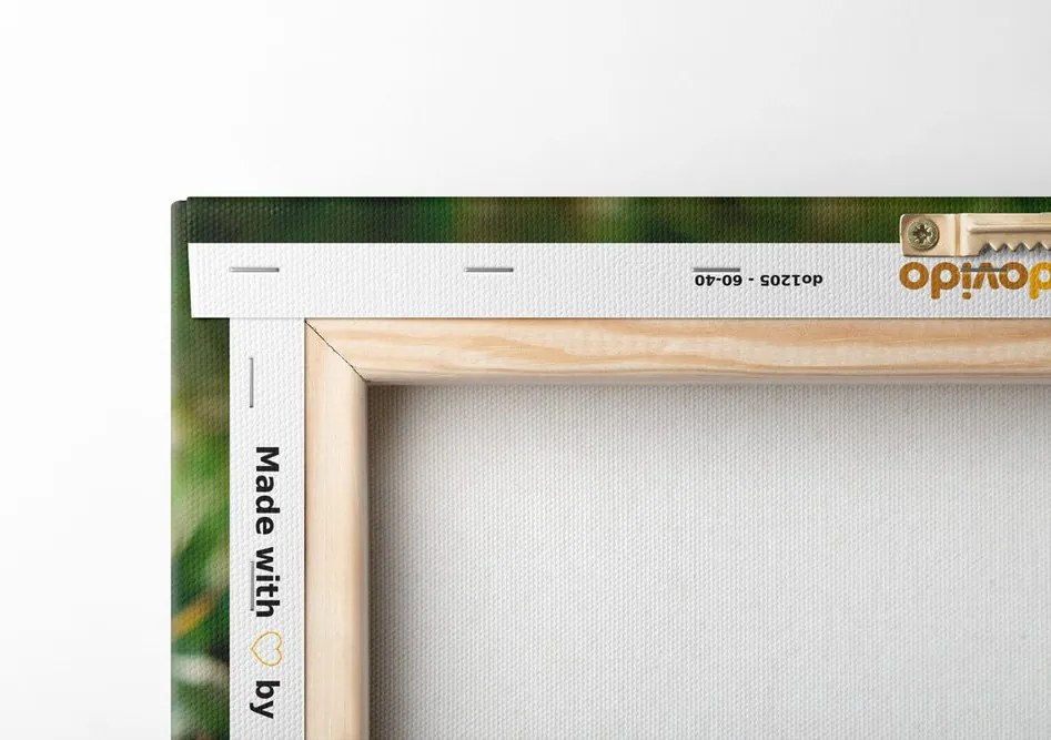 Quadro su tela – Angioletto nel giardino