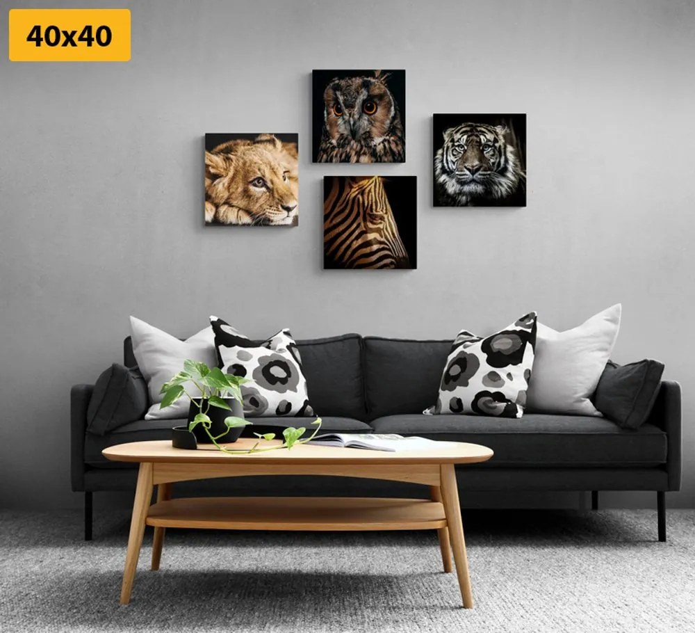 Set di quadri – Animali selvatici