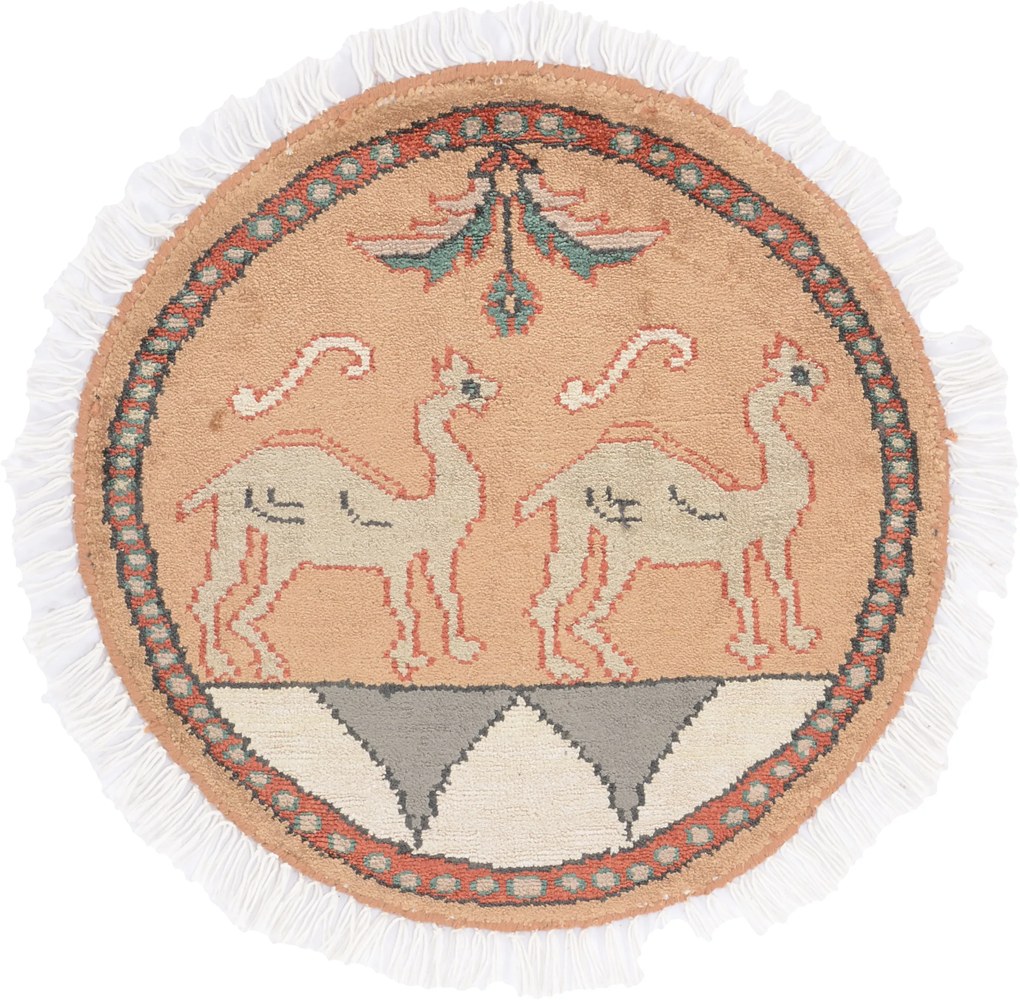 Agra Tappeto orientale 50x50 (Indian) Annodato A Mano