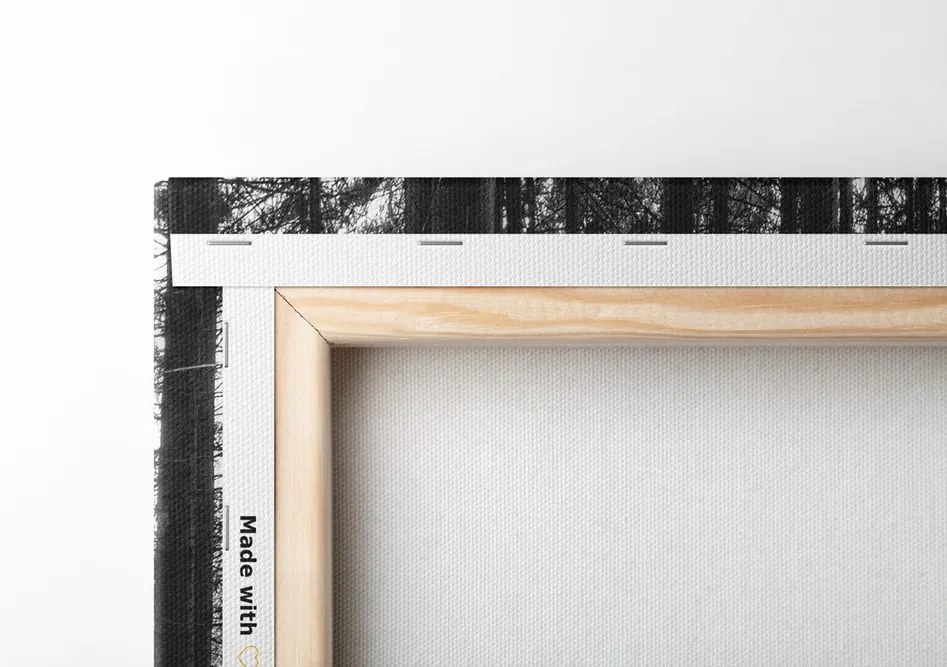 Quadro su tela – Mattina nella foresta in bianco e nero