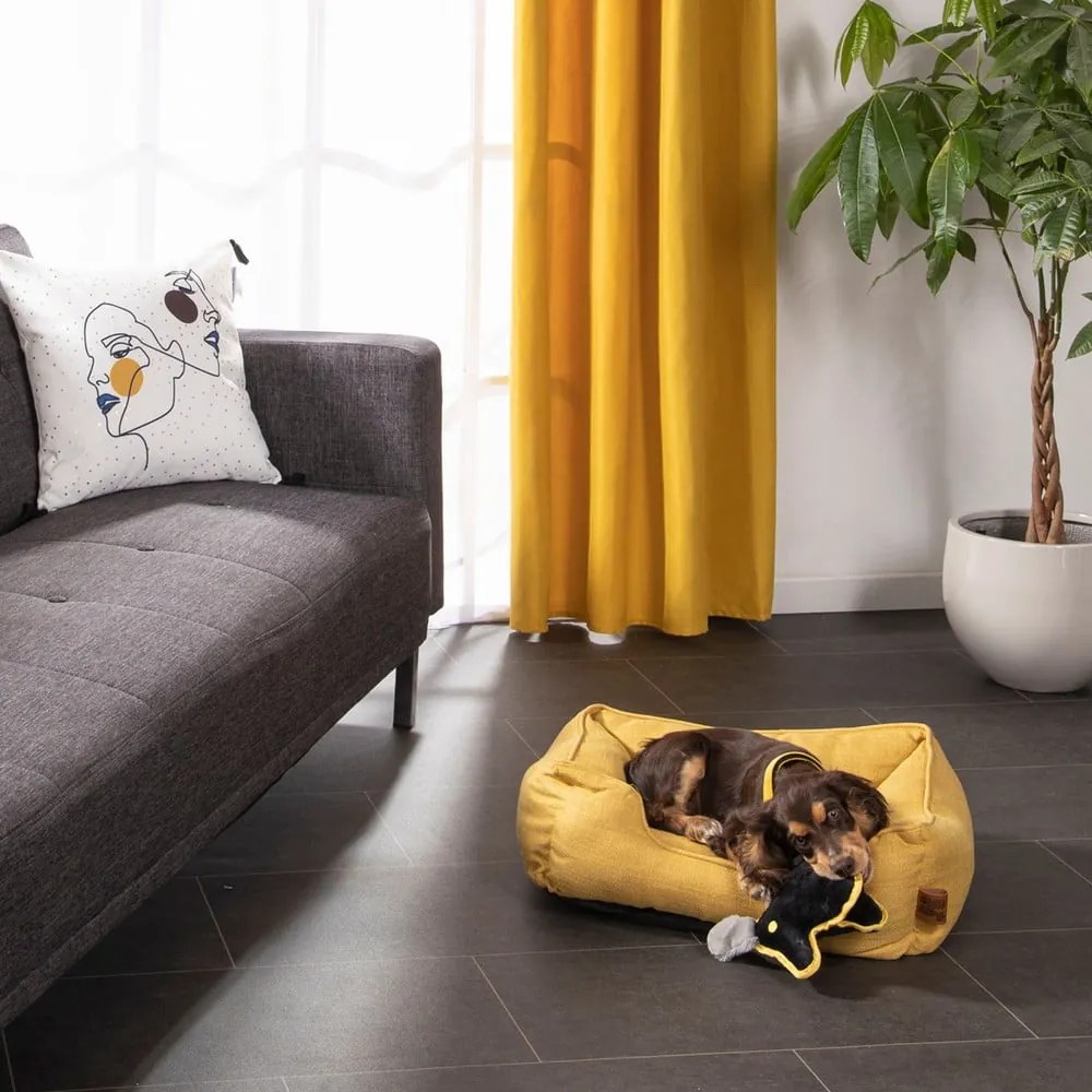 Letto giallo per cani 50x55 cm - Love Story