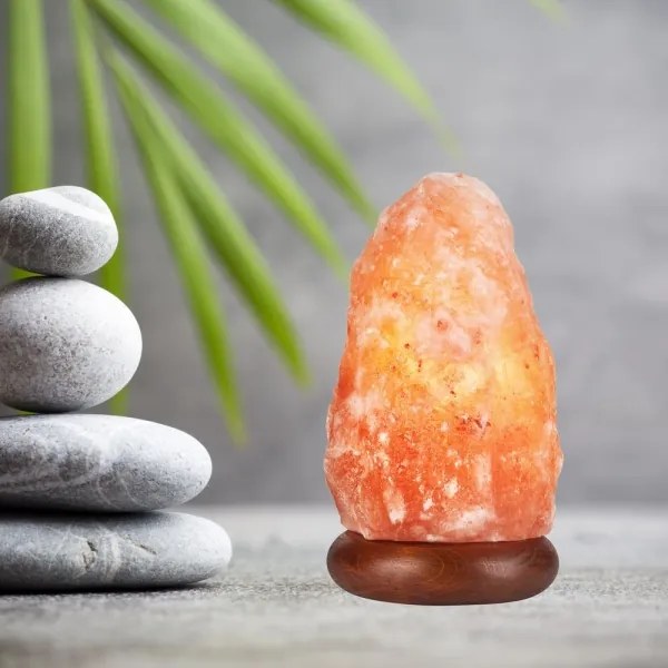 Lampada al sale SALLY 1xE14/25W/230V