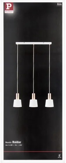Paulmann 79657 - 3xE14/20W Lampadario a sospensione con filo NEORDIC HALDAR 230V