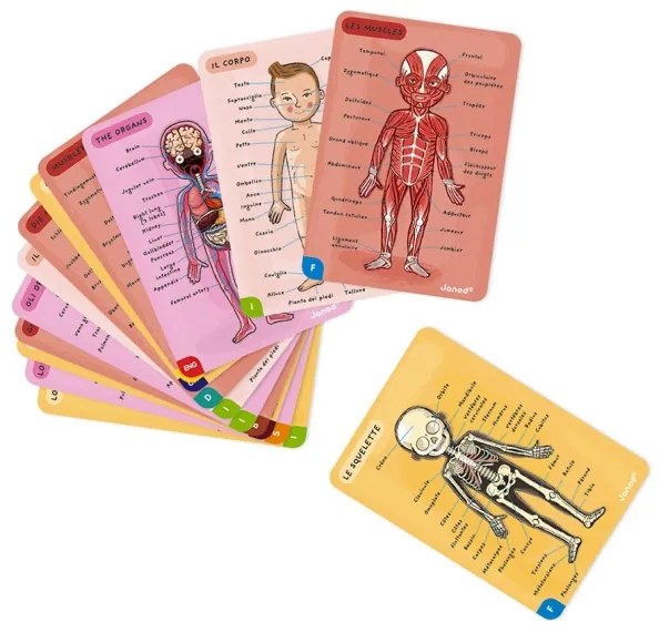 Janod - Puzzle magnetico BODYMAGNET corpo umano