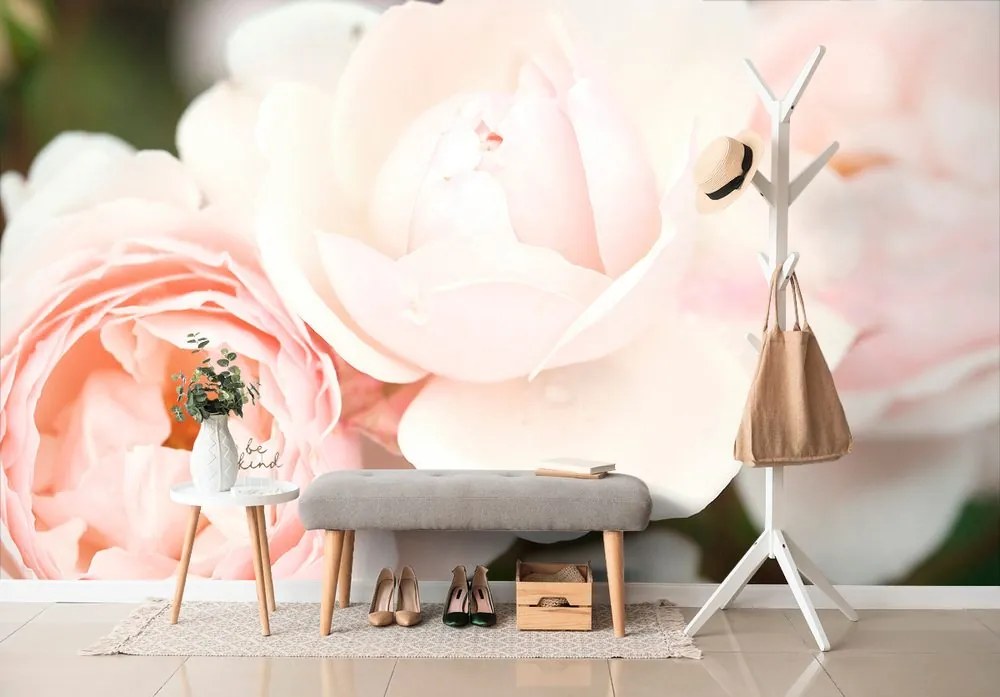 Carta da parati – Rose