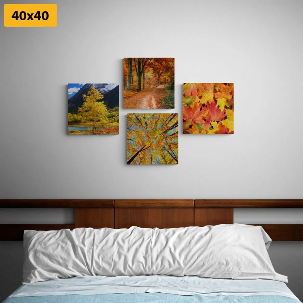 Set di quadri – Natura autunnale in colori splendidi