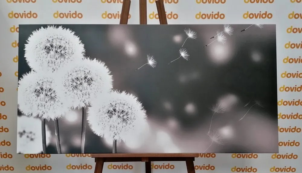 Quadro su tela – Dente di leone soffice in bianco e nero