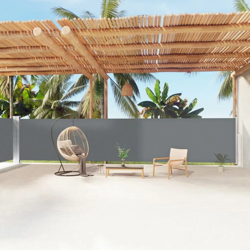 Tenda Da Sole Laterale Retrattile Antracite 160x1200 Cm /