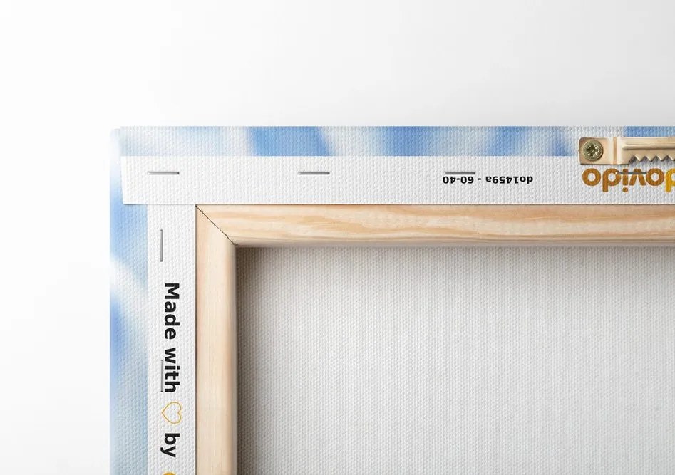 Quadro su tela – Fiori di ortensia in tonalità blu-bianco