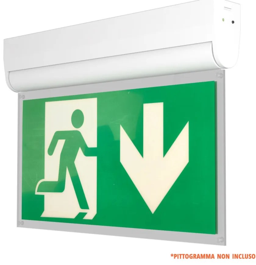 Lampada Emergenza a Bandiera, 3h, S.E S.A Cinema Mode - Bianca o nera Colore Bianco Freddo 6.000K, Colore del corpo Bianco