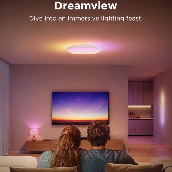 Govee - LED RGBIC Plafoniera con dimmer LED/49W/230V 2700-6500K Wi-Fi