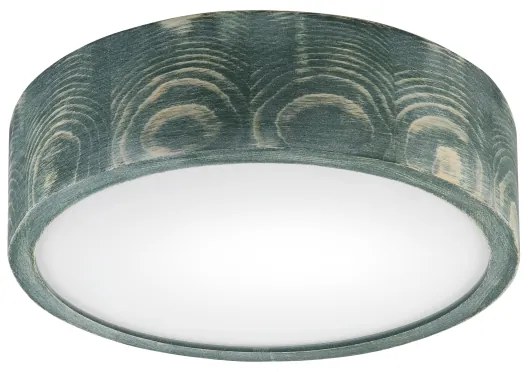Brilagi - Lampada da soffitto PINO 1xE27/15W/230V pino/verde diam. 27,5 cm