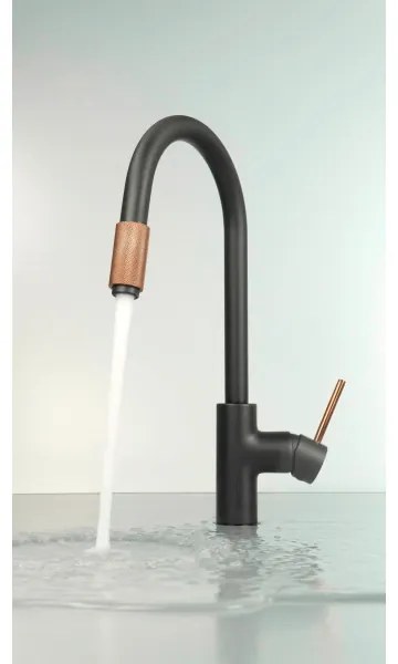 Deante BCA_B64M - Miscelatore per lavello ASTER nero/ottone