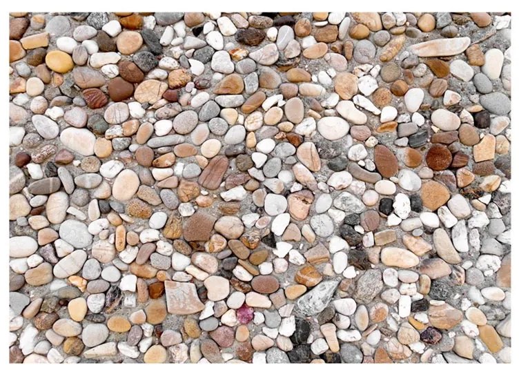 Fotomurale  Stone Beach  Colore Marrone, Dimensioni e Misure 100x70