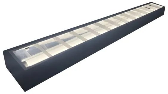 Lampada fluorescente T8 2xG13/18W/230V 120 cm nero