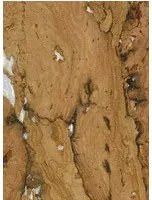 Osborne & Little Tapete Kanoko Cork - Woodash