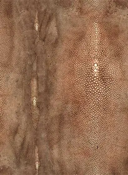 Jean Paul Gaultier Carta da parati Precieux - Cuivre