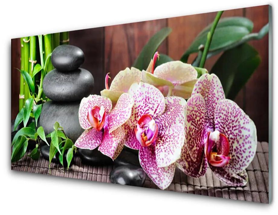 Quadro vetro acrilico Centro termale dell'orchidea di bambù 100x50 cm