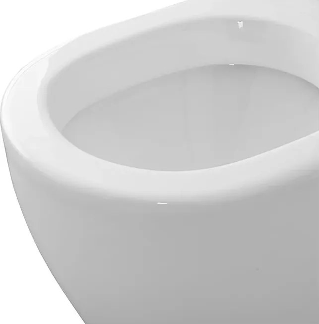 Wc per anziani filomuro H 50 cm con scarico traslato serie Comoda
