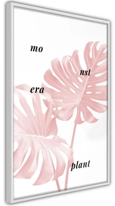 Poster Pale Pink Monstera