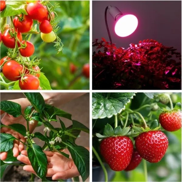 Lampada da tavolo flessibile con clip PLANTY 1xE27/30W/230V bianca