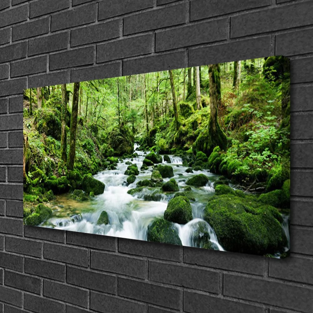 Stampa quadro su tela Fiume delle cascate di Las Potok 100x50 cm