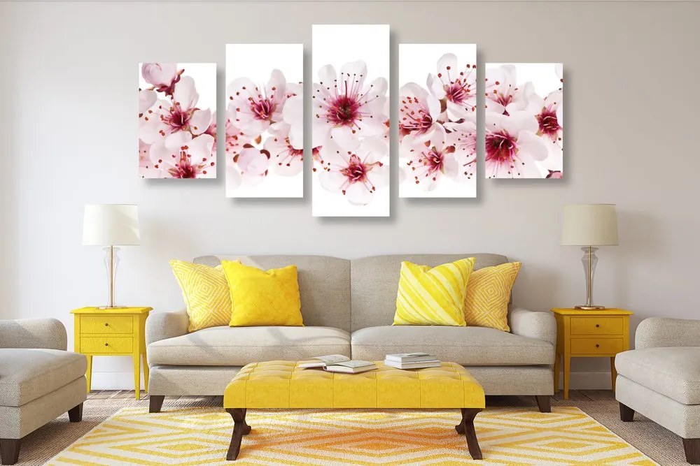 Quadri 5 pezzi – Fiori di ciliegio