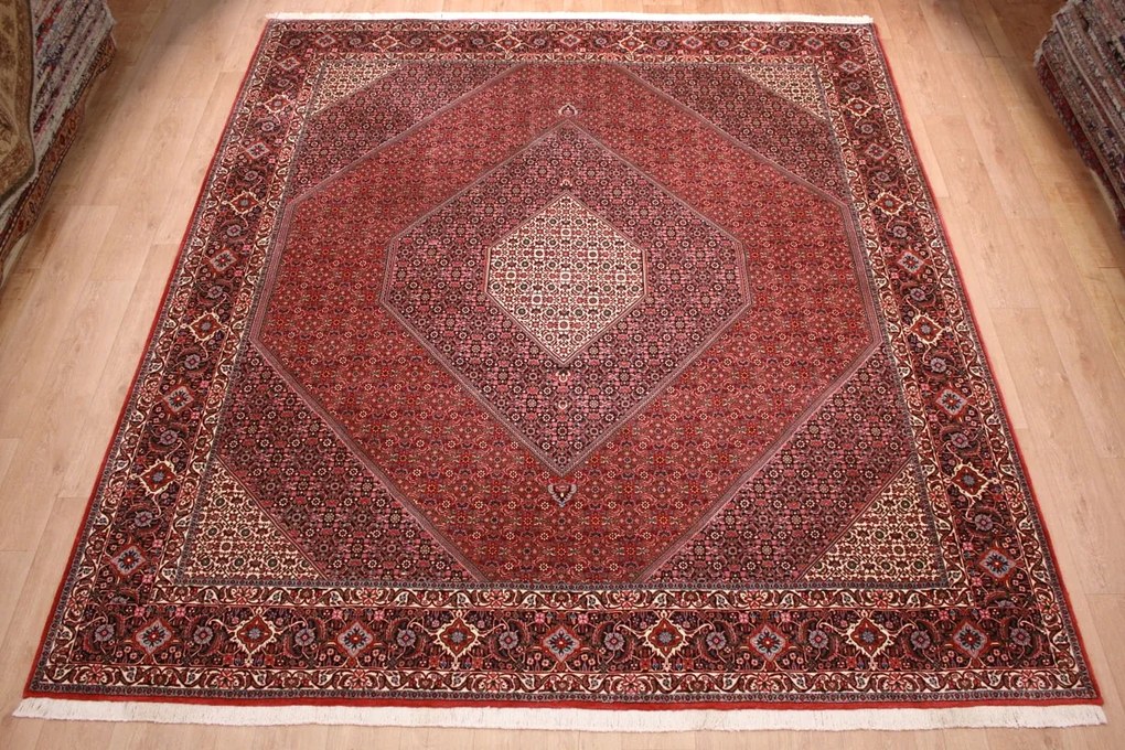 Bidjar Tappeto 350x300 (Iran) Annodato A Mano