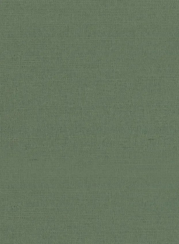 Armani Casa Carta da parati Rafia Plain - 9981
