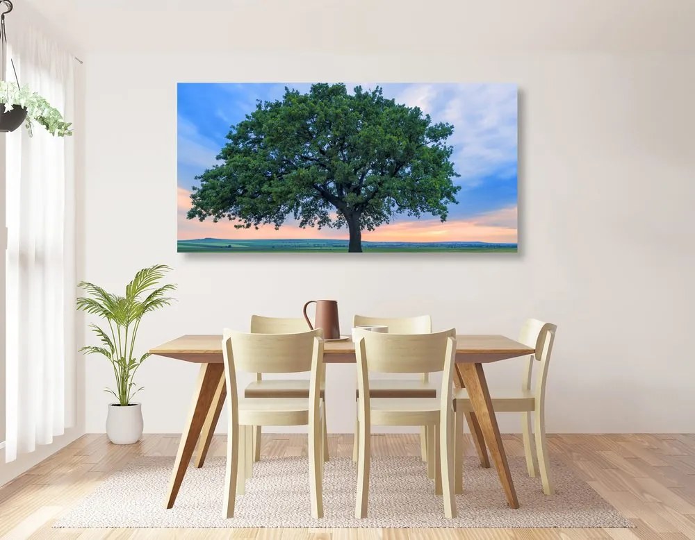 Quadro su tela – Quercia solitaria