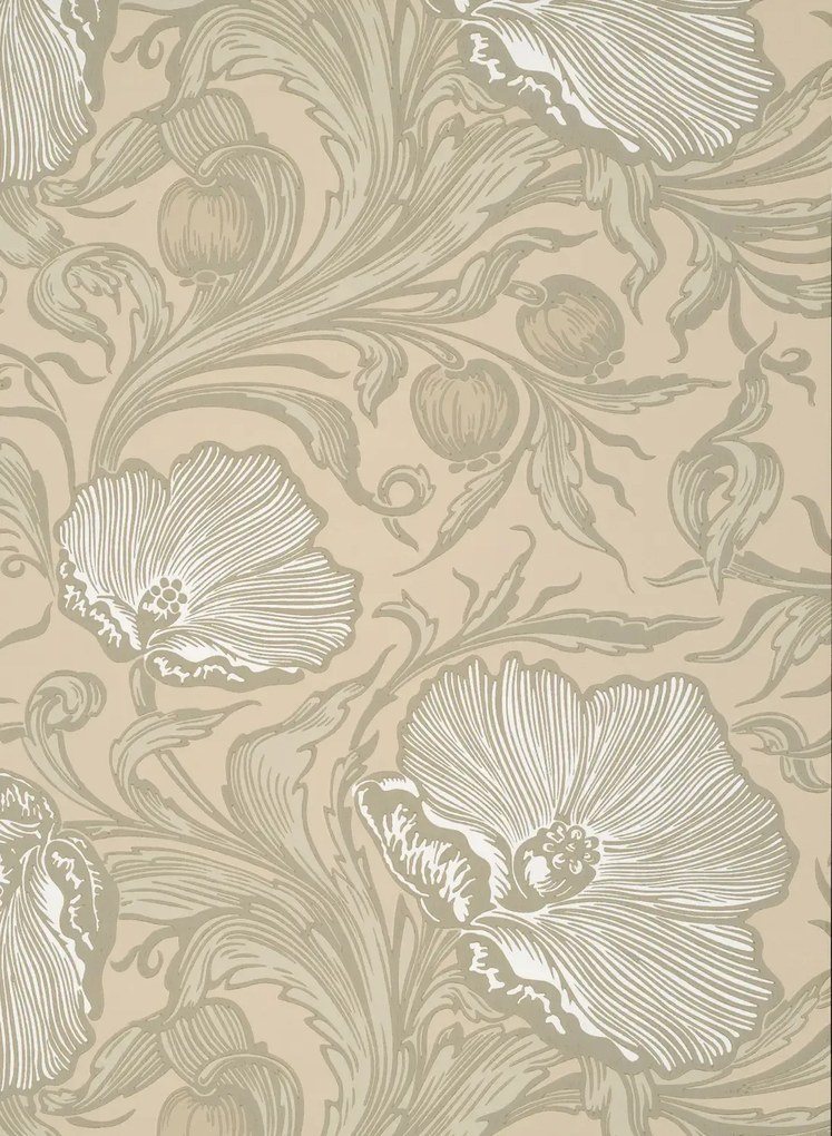 Little Greene Carta da parati Poppy Trail - Portland Stone