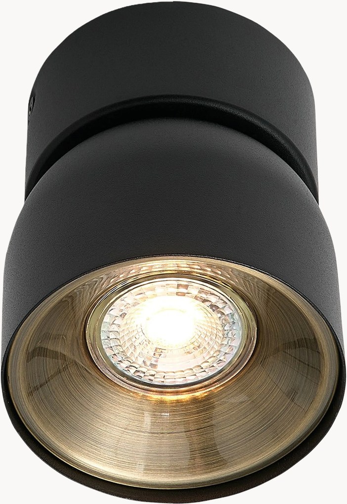 Faretto da soffitto con luce regolabile Pitcher