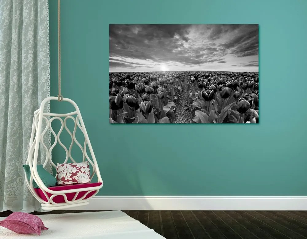 Quadro su tela – Alba sopra il prato con tulipani in bianco e nero