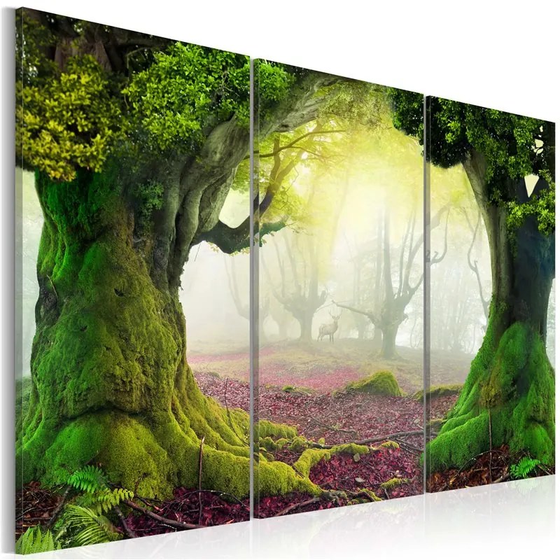 Quadro  Bosco misterioso  trittico  Colore Viola, Dimensioni e Misure 60x40