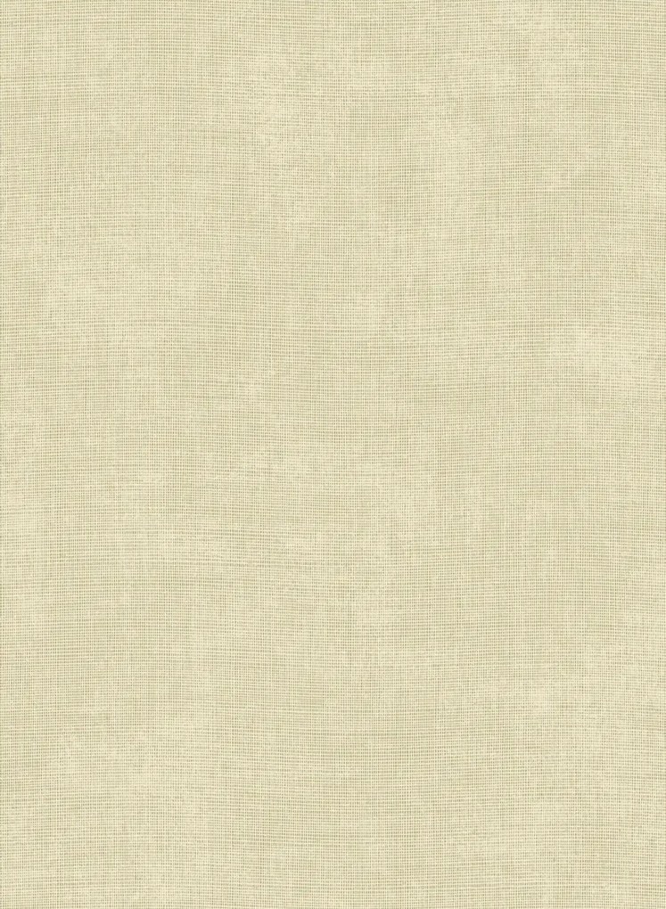 Arte International Carta da parati Tulle - Sage