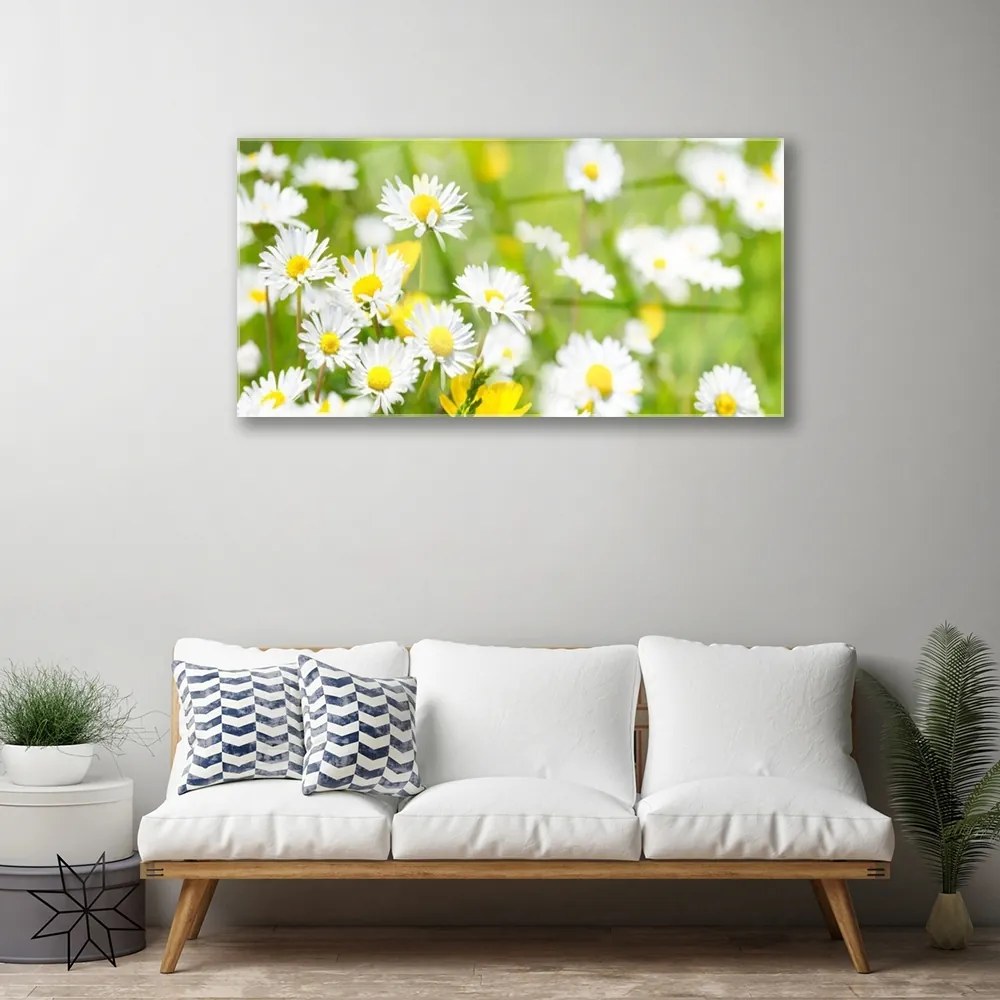 Quadro in vetro Pianta di fiori di margherita 100x50 cm