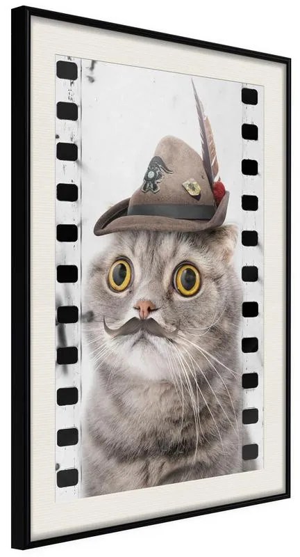 Poster  Dressed Up Cat  Cornice Quadri Cornice nera con pass-partout, Larghezza x Altezza Home decor 30x45