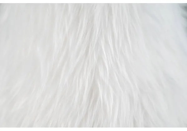 Happy Lamps - Lampada da tavolo LED per bambini HUGO LED/5,4W/230V toro