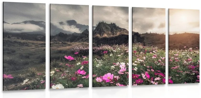 Quadri 5 pezzi – Prato di fiori in fiore