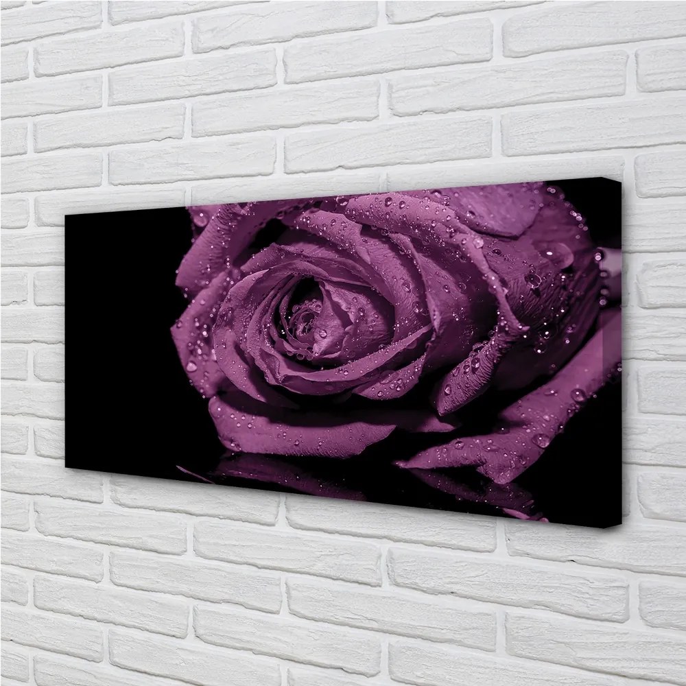 Stampa quadro su tela Rosa viola 100x50 cm