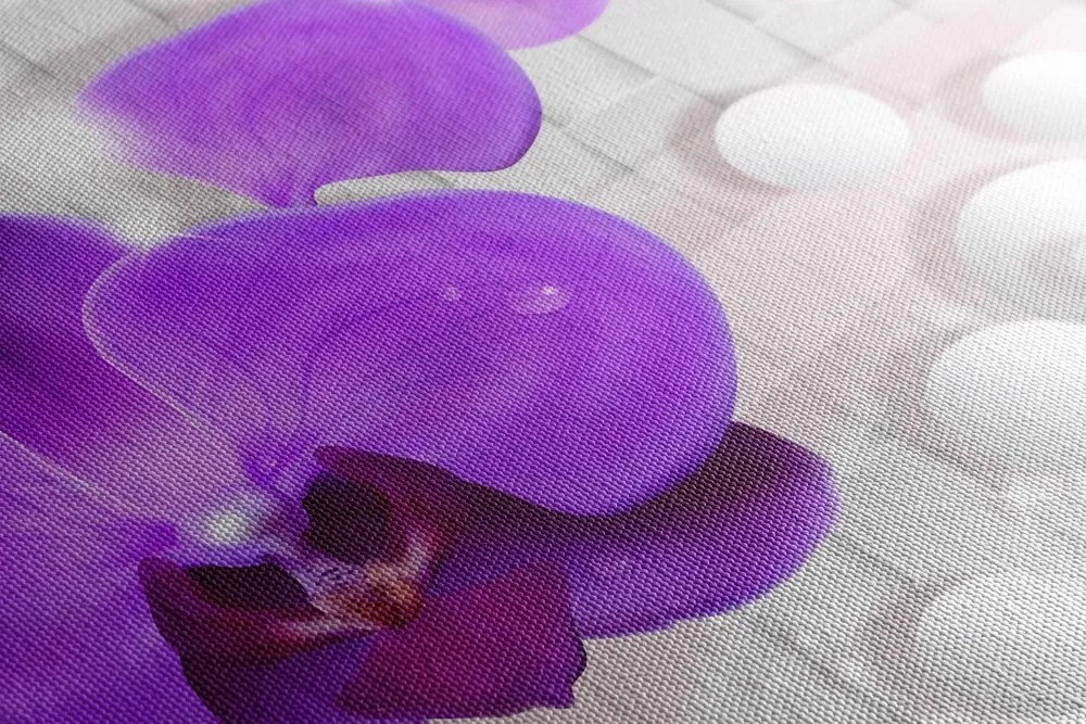 Quadro su tela – Orchidea su sfondo astratto
