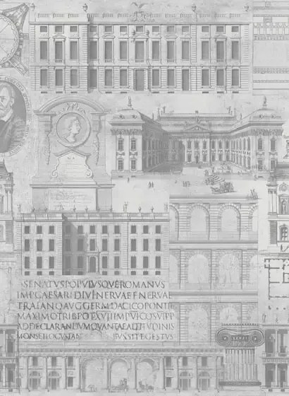 Mindthegap Carta da parati Vitruvius - WP20027