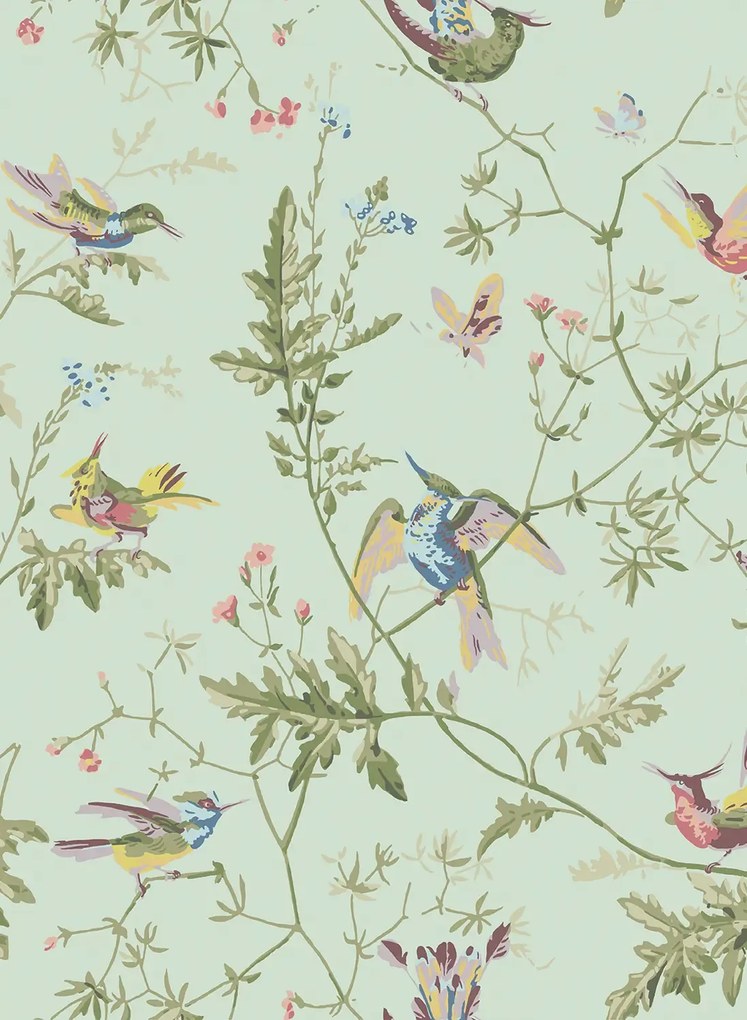 Cole & Son Tapete Hummingbirds - Multi/ Old Olive on Duck Egg