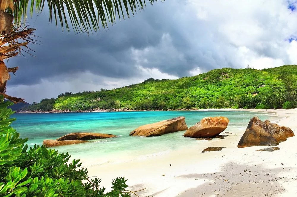 Carta da parati autoadesiva – Seychelles tropicali
