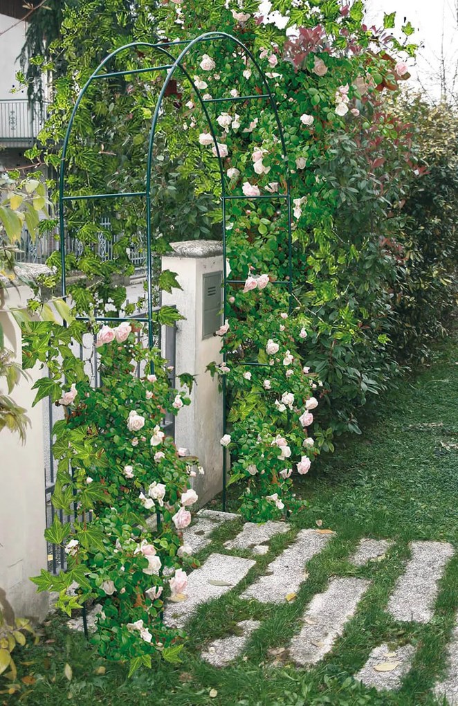 Arco da Giardino in Acciaio 37x130xh240 cm per Rampicanti Rama Verde...