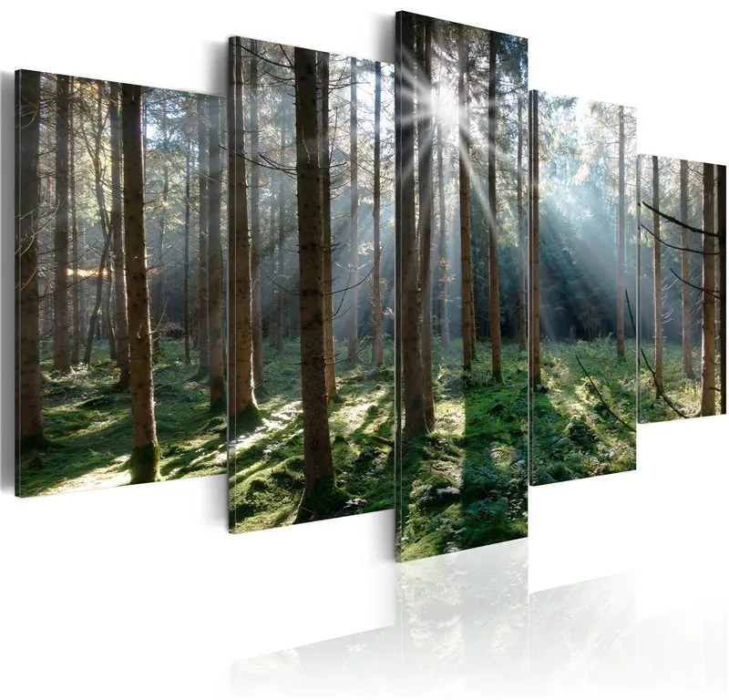 Quadro Fairytale Forest