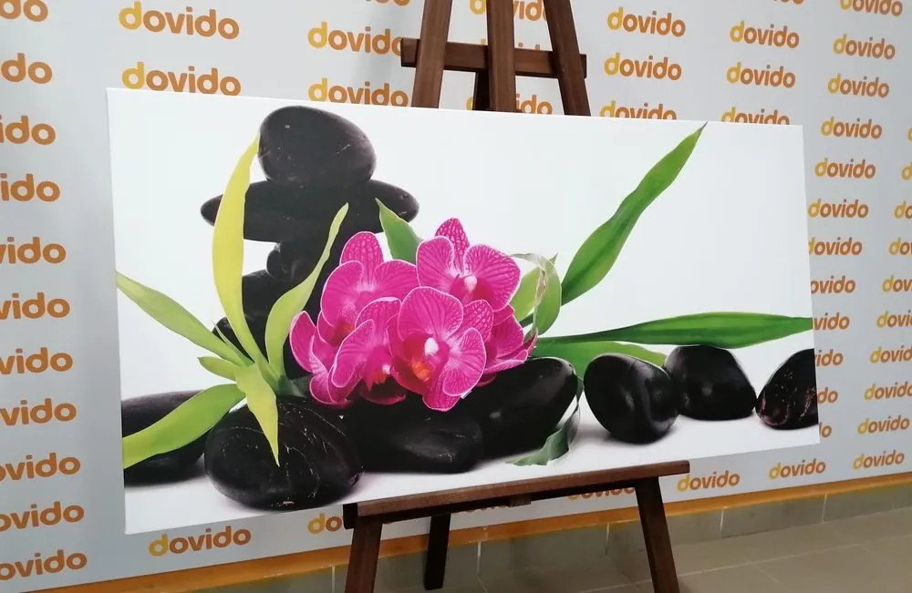 Stampa su tela – Orchidea viola in natura morta Zen
