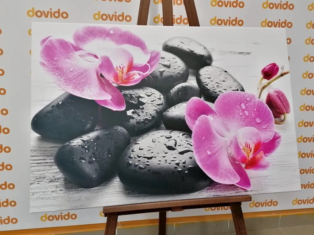 Stampa su tela – Bella armonia di pietre e orchidee