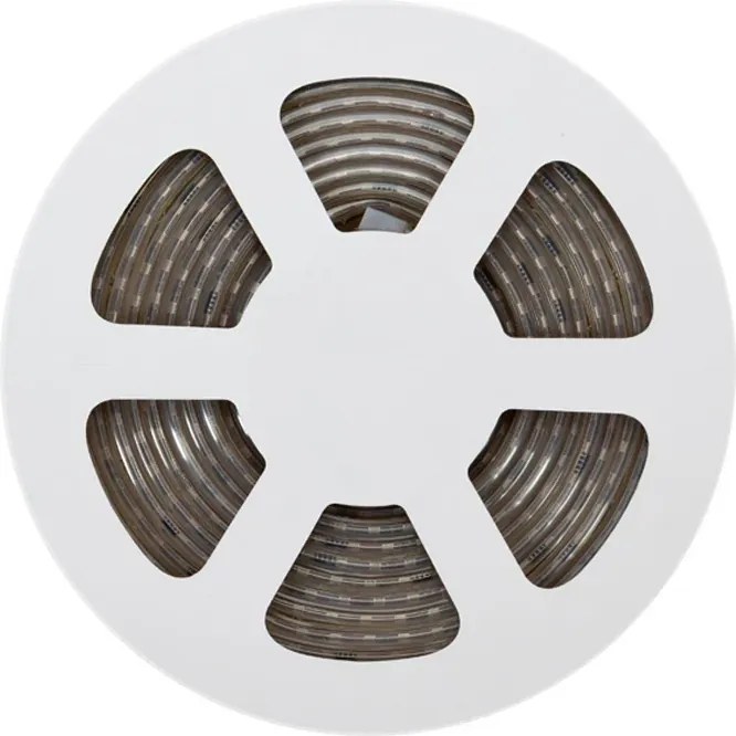 Striscia LED Digitale 24V 12W/m RUNNING Professionale IP65 - 5 metri