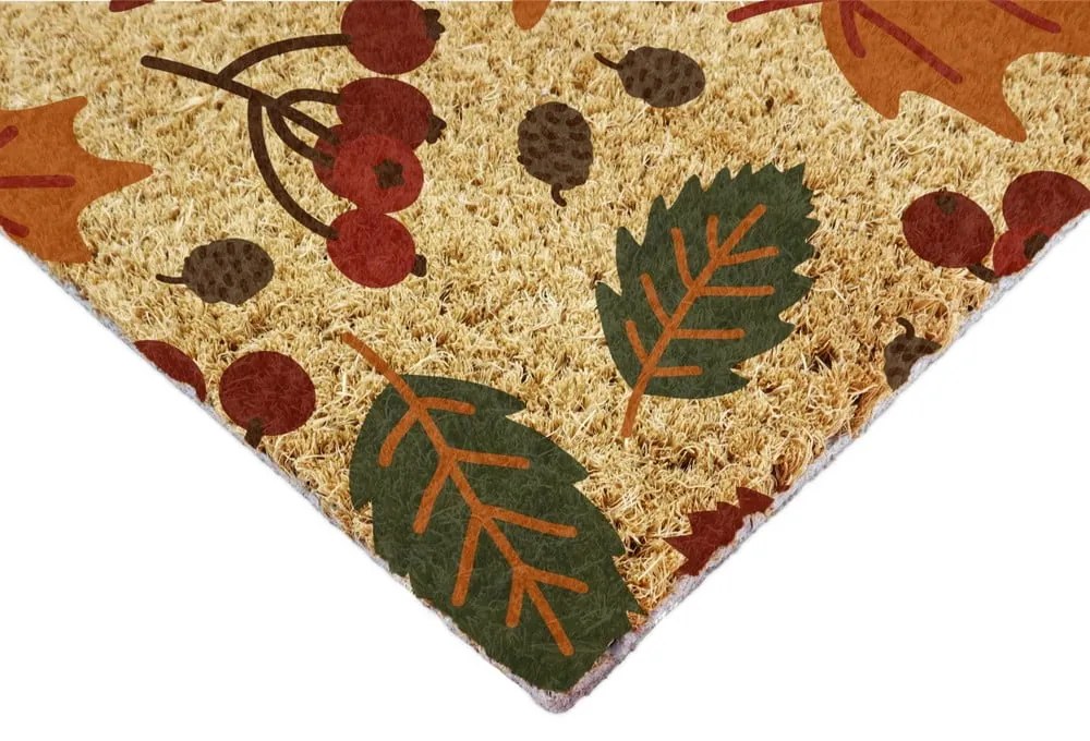 Zerbino in fibre di cocco 40x60 cm Autumn Leaves – Artsy Doormats
